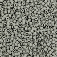 Abalorios Miyuki Delica's 11/0 Opaque matte gray DB-761