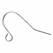 Fornituras Acero Inox pendientes de gancho Plateado vieja