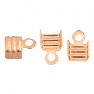 Fornituras Terminales para cintas