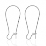 Pendientes Acero Inox Plateado