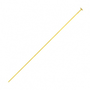 Fornituras acero inox bastón con cabeza 50mm Dorado