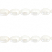 BQ Perlas de agua dulce grano de arroz 7x6mm Blanco natural