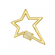 Cierre zirconia rel&aacute;mpago Dorado