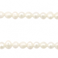 Perlas de agua dulce redondas 3mm Blanco natural