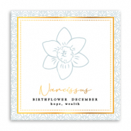Tarjetas para joyer&iacute;a Flor de nacimiento Diciembre-Narciso Gris verdoso