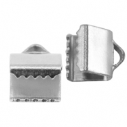 Fornituras Acero Inox terminal para cintas 6mm Plateado