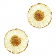 Entrepiezas con flores secas 20mm Dorado-beige