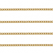 Fornituras Acero Inox cadena jasseron gourmet Dorado