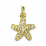 Metal TQ lat&oacute;n colgante estrella de mar Dorado