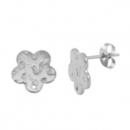 Pendientes Acero Inox Plateado