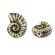 Abalorios de cerámica concha Marrón claro