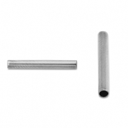 Abalorios Acero Inox tubo 12mm Plateado