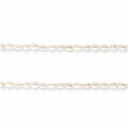 Perlas de agua dulce grano de arroz Blanco natural