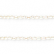 BQ Perlas de agua dulce nugget redondas 6-7mm Blanco natural