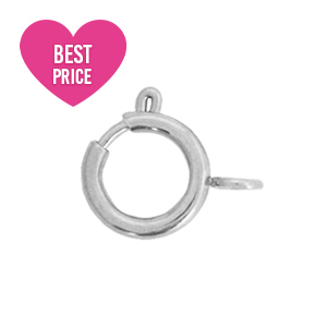 Fornituras acero inox cierre de reasa 6x8mm Plateado