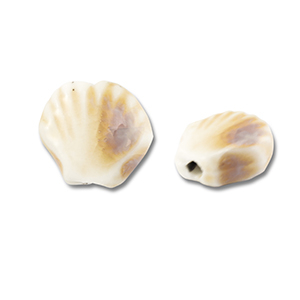 Abalorios de cer&aacute;mica concha Blancuzco