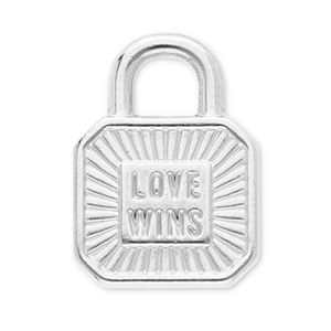 Colgantes Acero Inox candado "love wins" Plateado